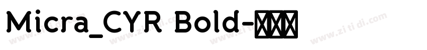 Micra_CYR Bold字体转换